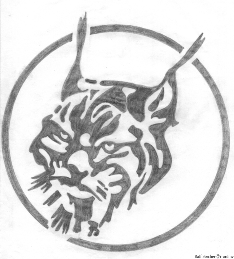 RS-Luchs.jpg