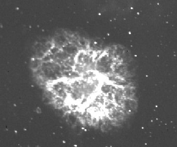 m1.jpg