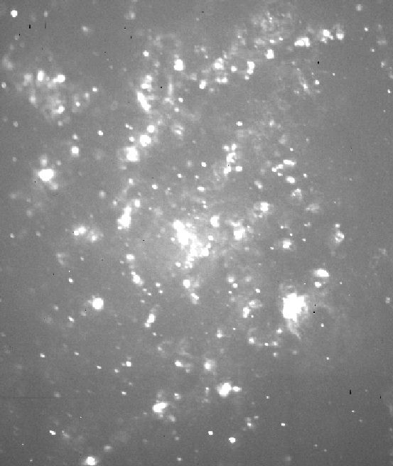 m33halph.jpg