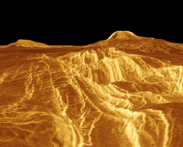 venus1.jpg