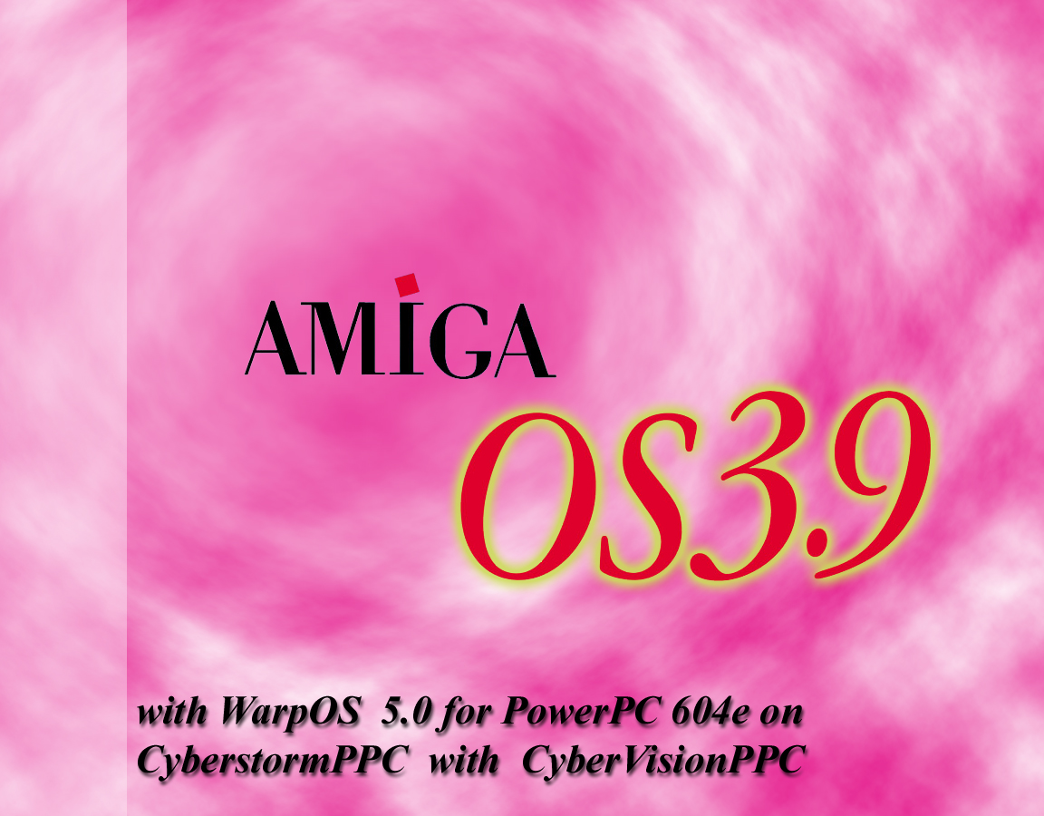BGos39_rosa02.jpg