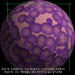 mui_virus.jpg