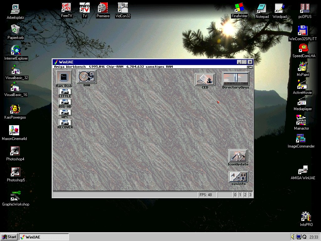winuae.jpg