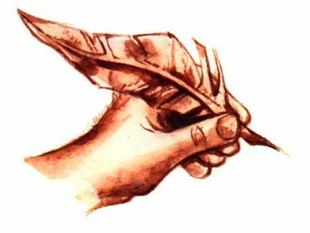 Hand.jpg