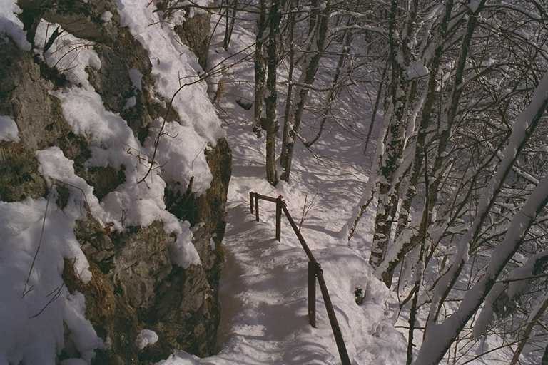 landscape1.jpg