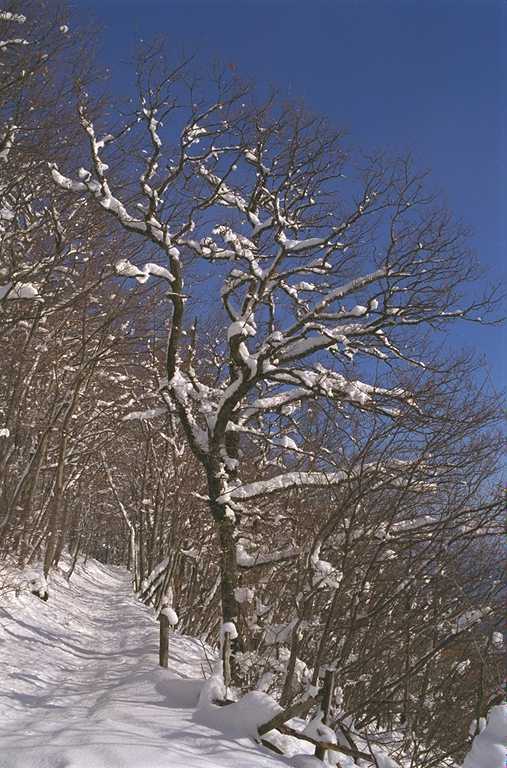 landscape2.jpg