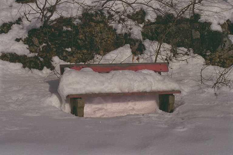 landscape3.jpg
