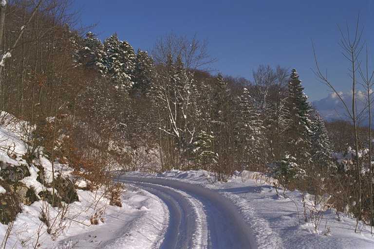 landscape4.jpg