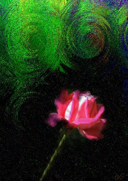 rose_vangogh.jpg