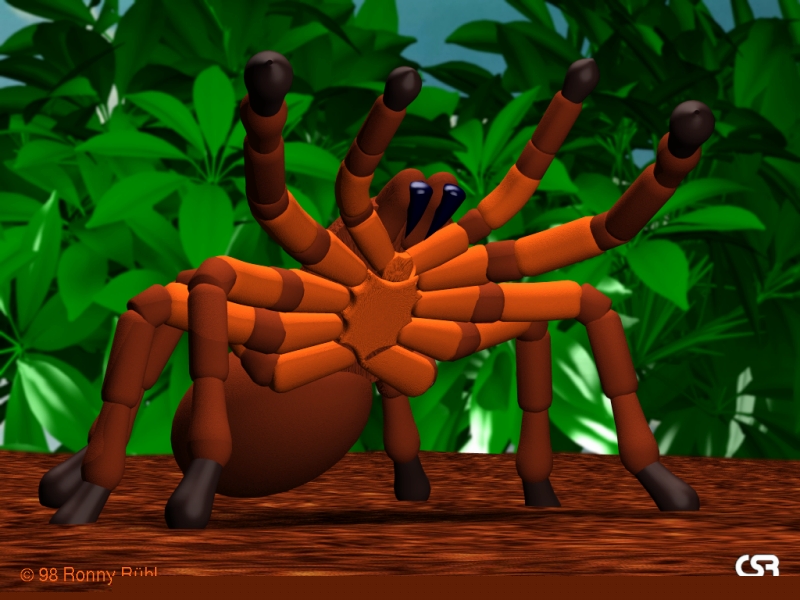 Spider.jpg