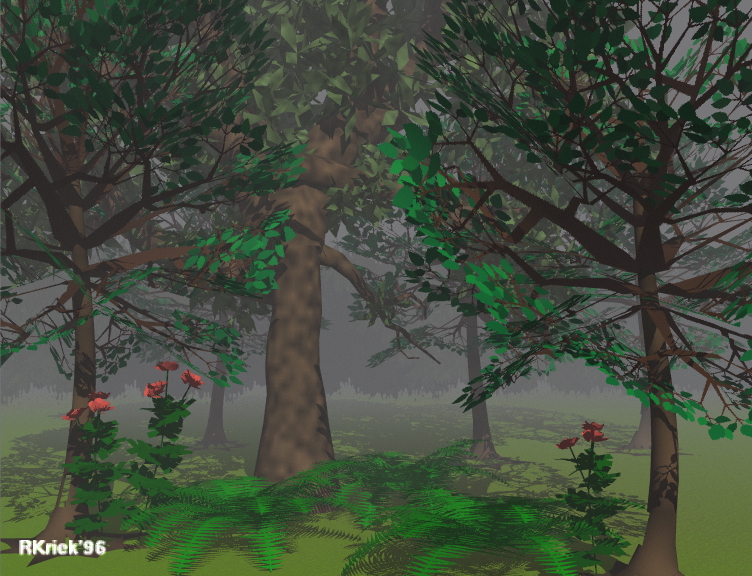 forest2.jpg
