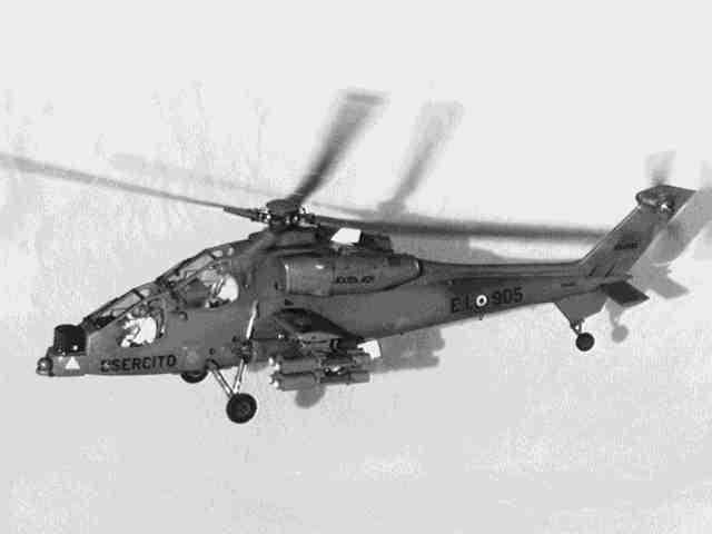 a129mangusta.jpg