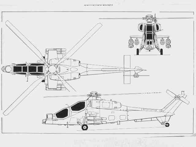 a129mangusta2.jpg
