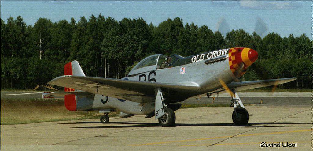 mustang2.jpg