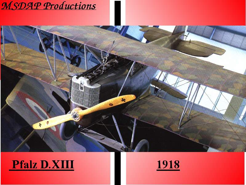 pfalzd13.jpg