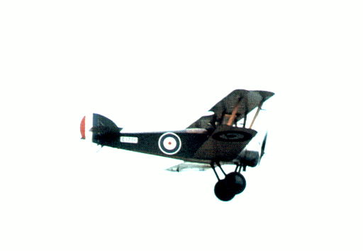 wfa_009.jpg