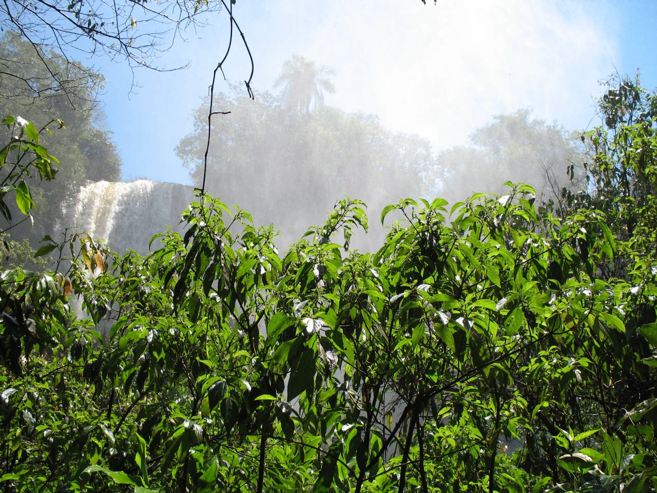 Brasil_Trip08.jpg