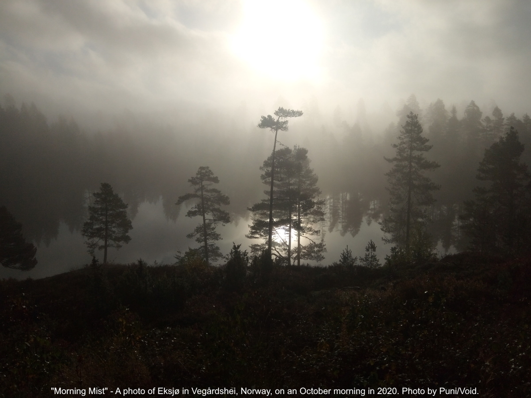 MorningMist.png