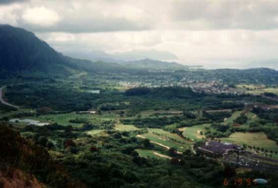 Pali3.jpg