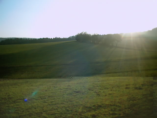 Spring_is_wai3.jpg