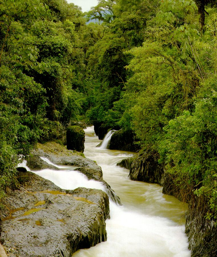 river.jpg
