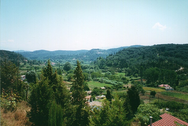 trees.jpg