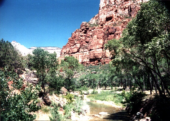 zion6.jpg